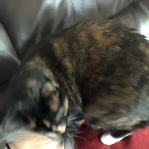 Meet your Posher, Jillian